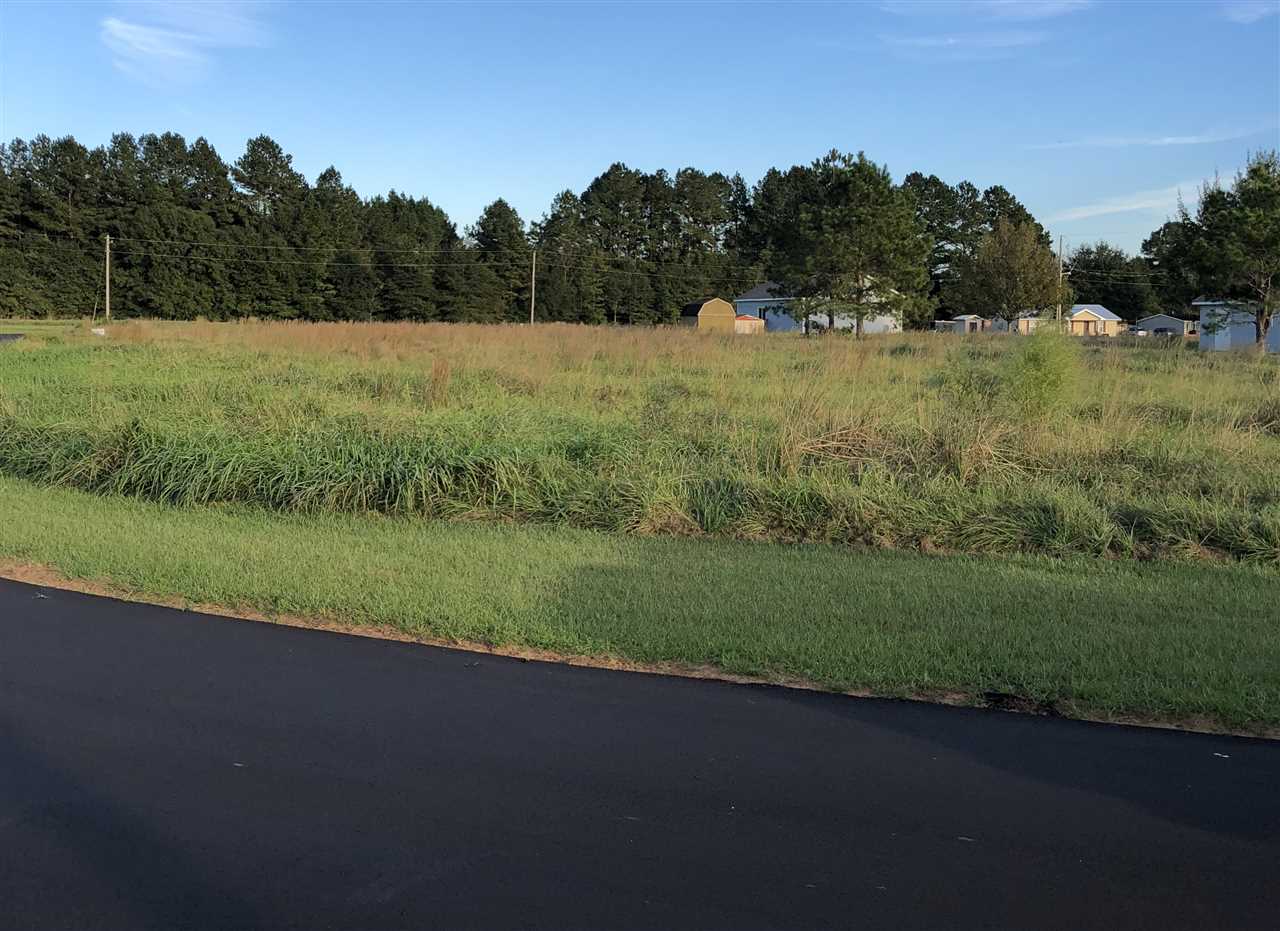 0 Eagle's Loop Robertsdale, AL 36567 - Photo 1 of 1