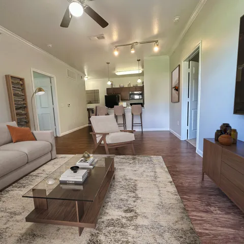 a living room with furniture rug and wooden floor