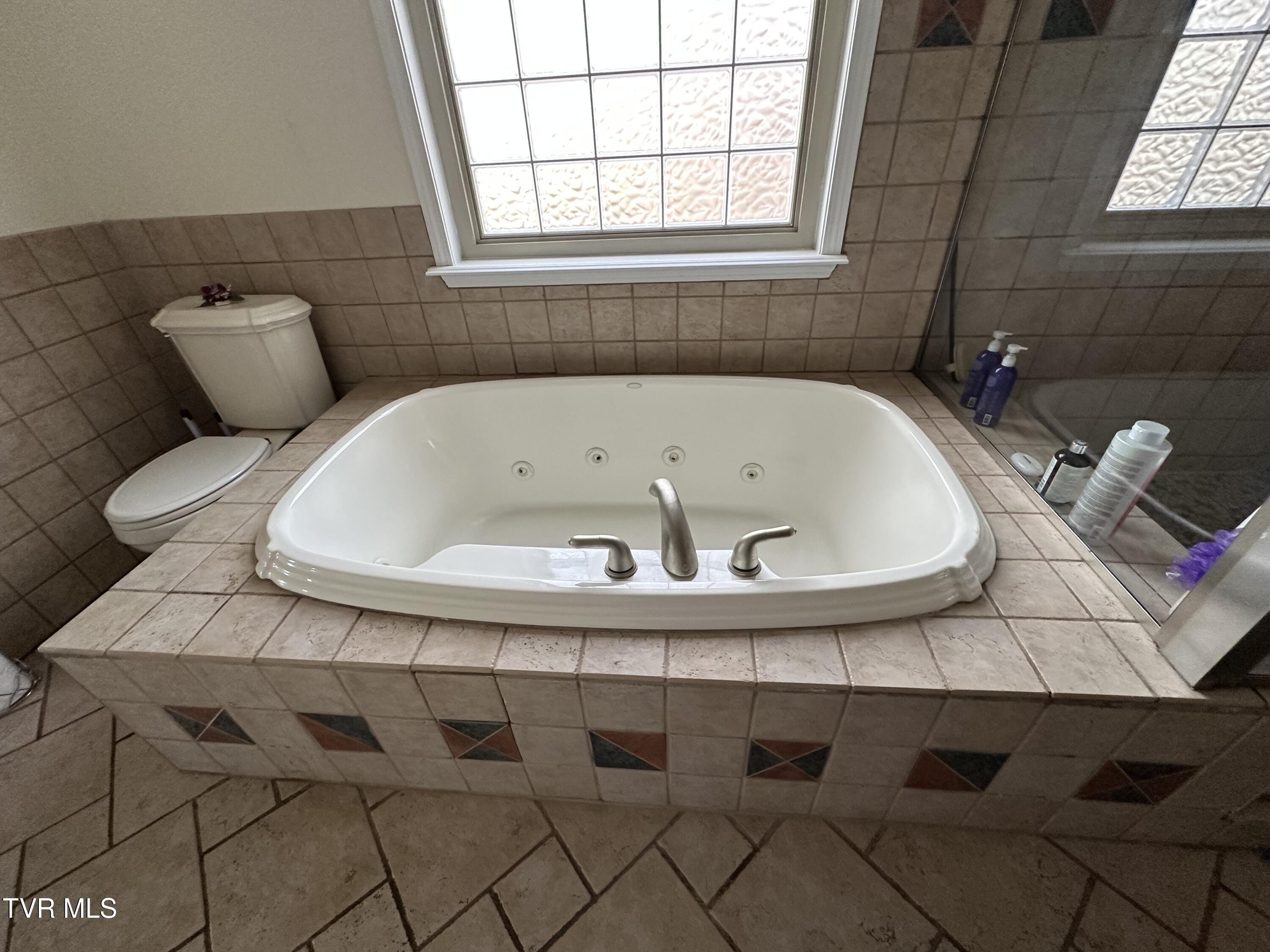 186 Butchertown Road Fall Branch, TN 37656 - Photo 48 of 100 55