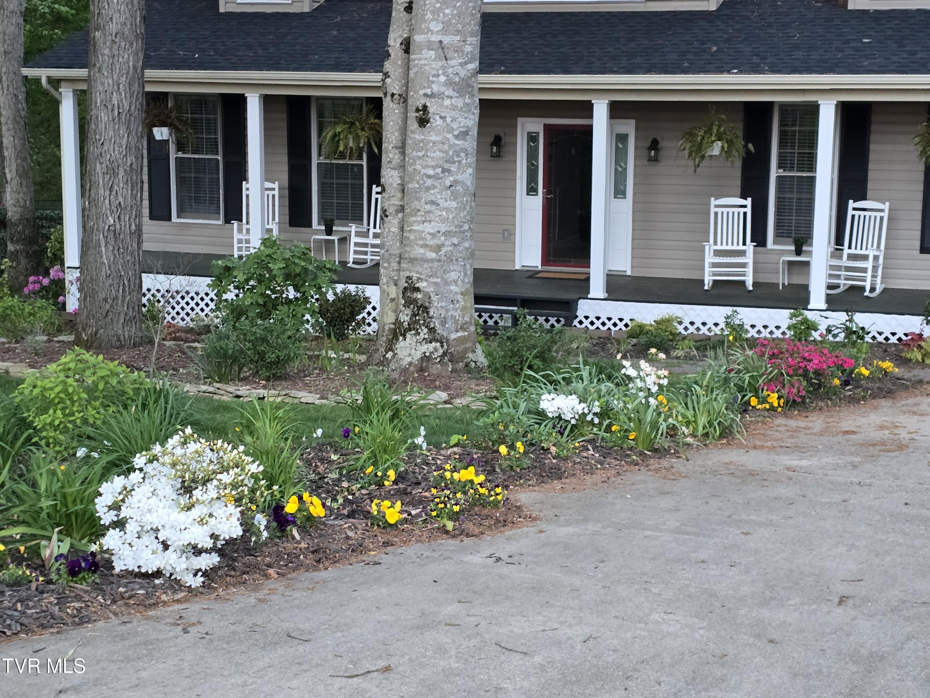 186 Butchertown Road Fall Branch, TN 37656 - Photo 5 of 100 8a