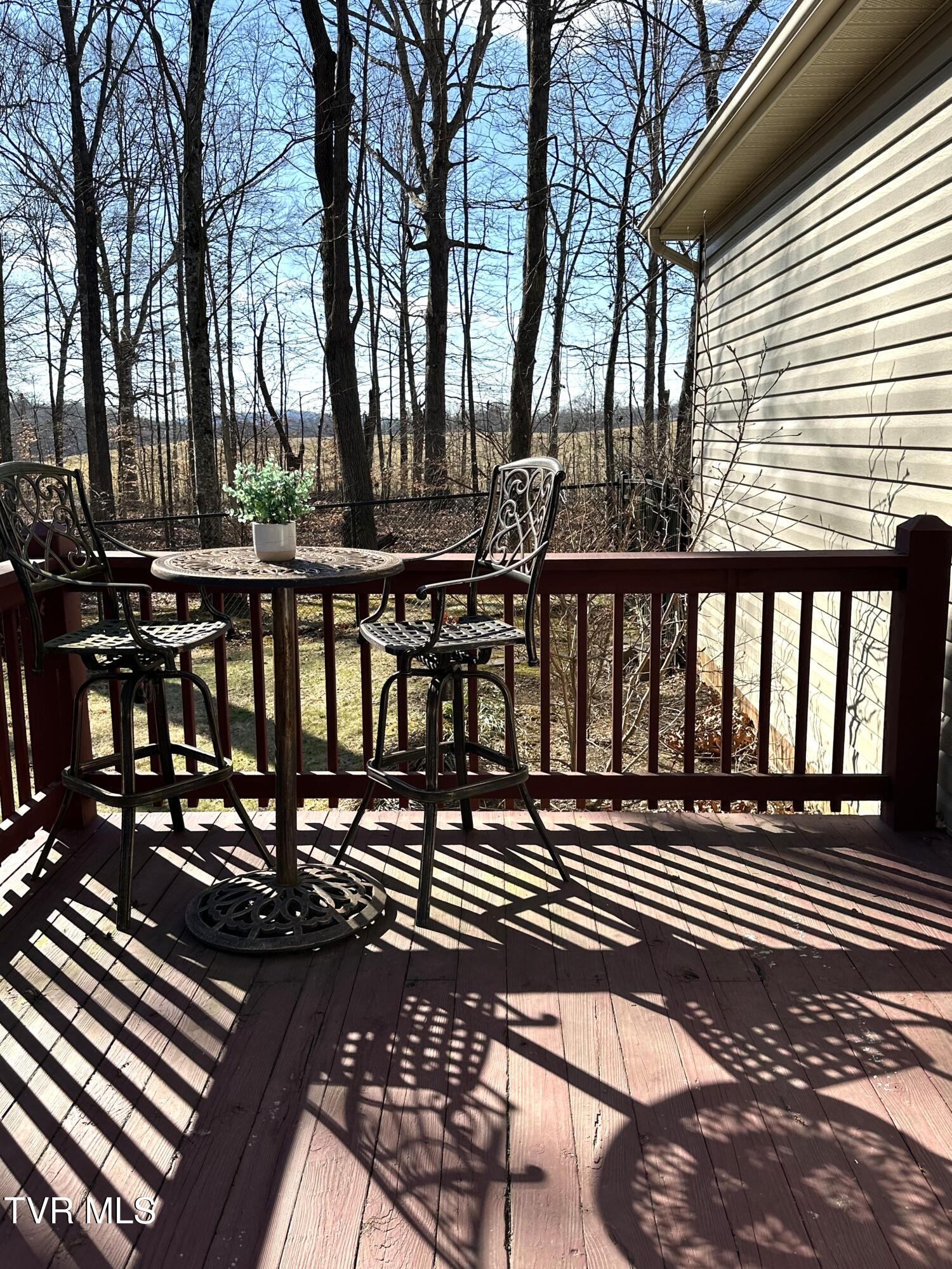 186 Butchertown Road Fall Branch, TN 37656 - Photo 84 of 100 106