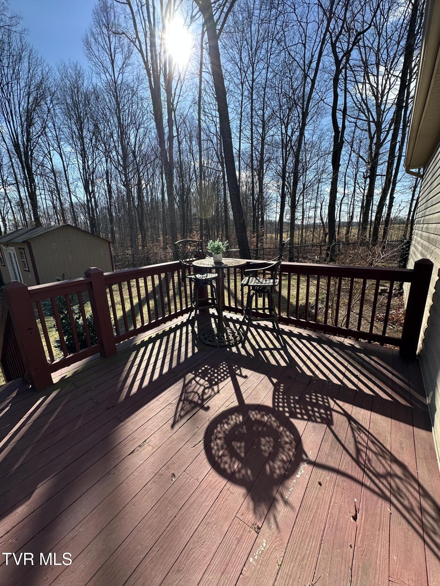 186 Butchertown Road Fall Branch, TN 37656 - Photo 86 of 100 108