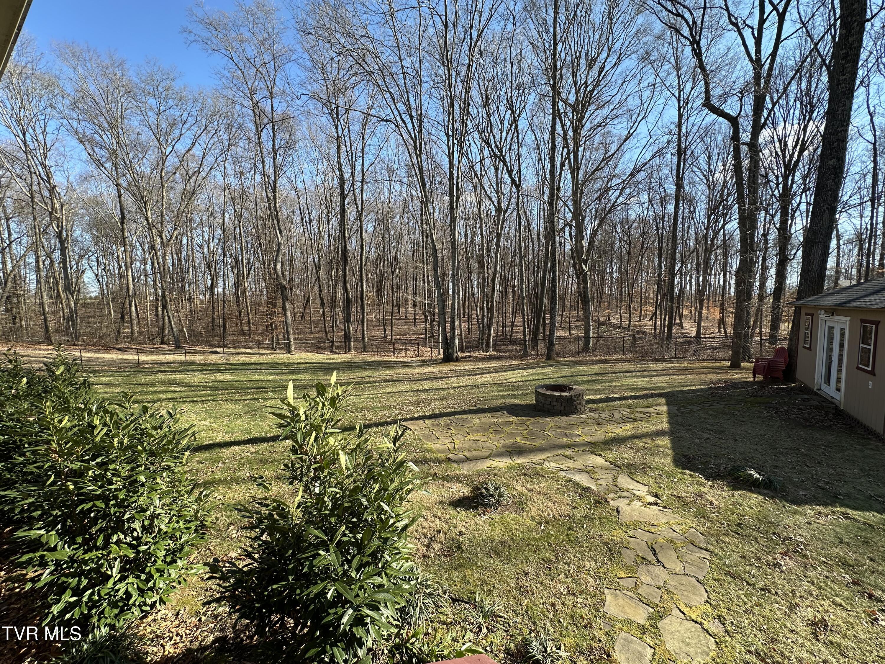 186 Butchertown Road Fall Branch, TN 37656 - Photo 94 of 100 112