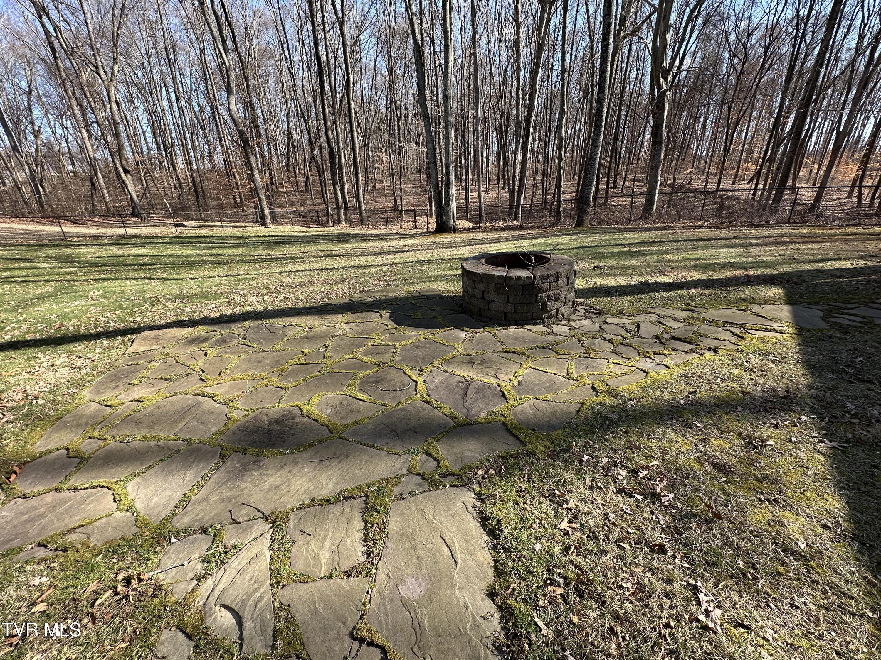 186 Butchertown Road Fall Branch, TN 37656 - Photo 95 of 100 113