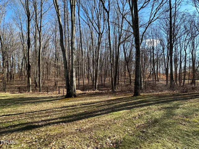 $675,000 | 186 Butchertown Road, Fall Branch, TN 37656