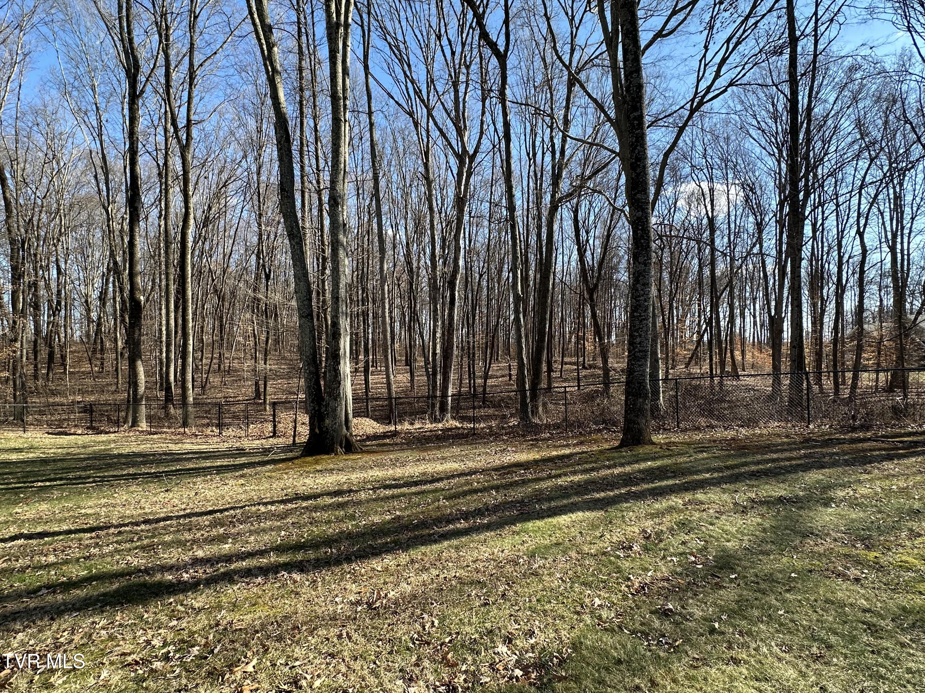 186 Butchertown Road Fall Branch, TN 37656 - Photo 99 of 100 117