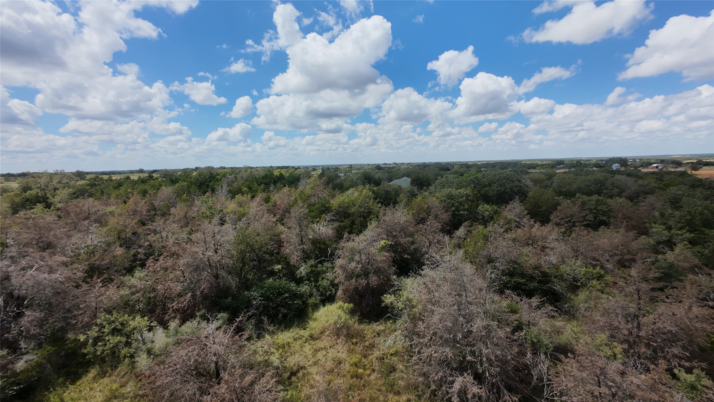 741 Knobbs Road McDade, TX 78650 - Photo 31 of 38 An aerial perspective reveals a vast, tree-filled landscape under a cloud-dappled sky.