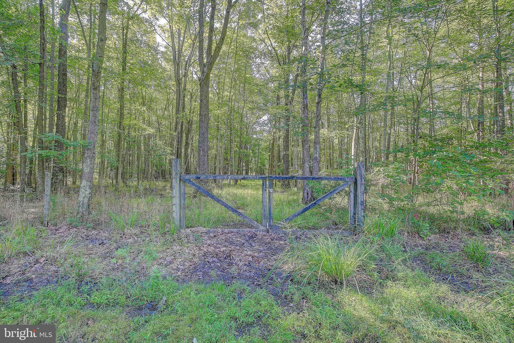 1481 Cedarhurst Road Shady Side, MD 20764 - Photo 31 of 31 Gallery Image 31