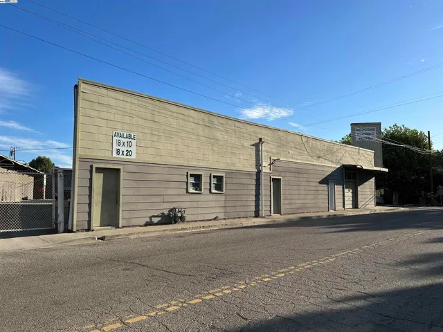 a front view of a house with plants