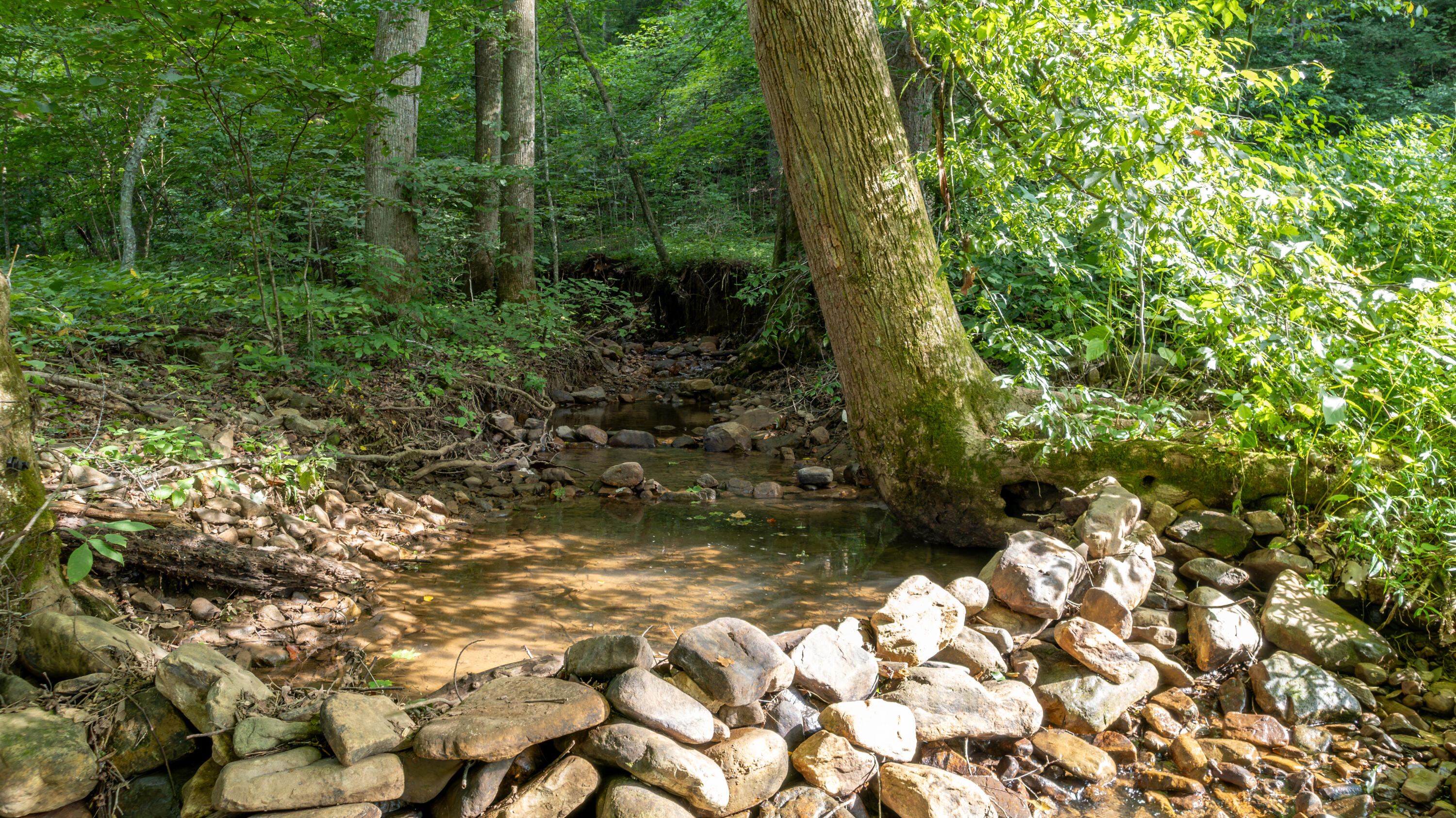 120 Bobs Hollow Road Elizabethton, TN 37643 - Photo 8 of 18 WBP-Bobs-Hollow-46