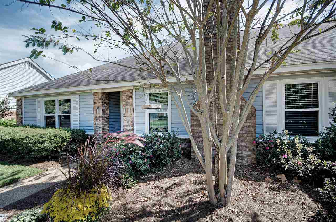 56 Springview Drive Brandon, MS 39042 - Photo 3 of 32 Photo 3