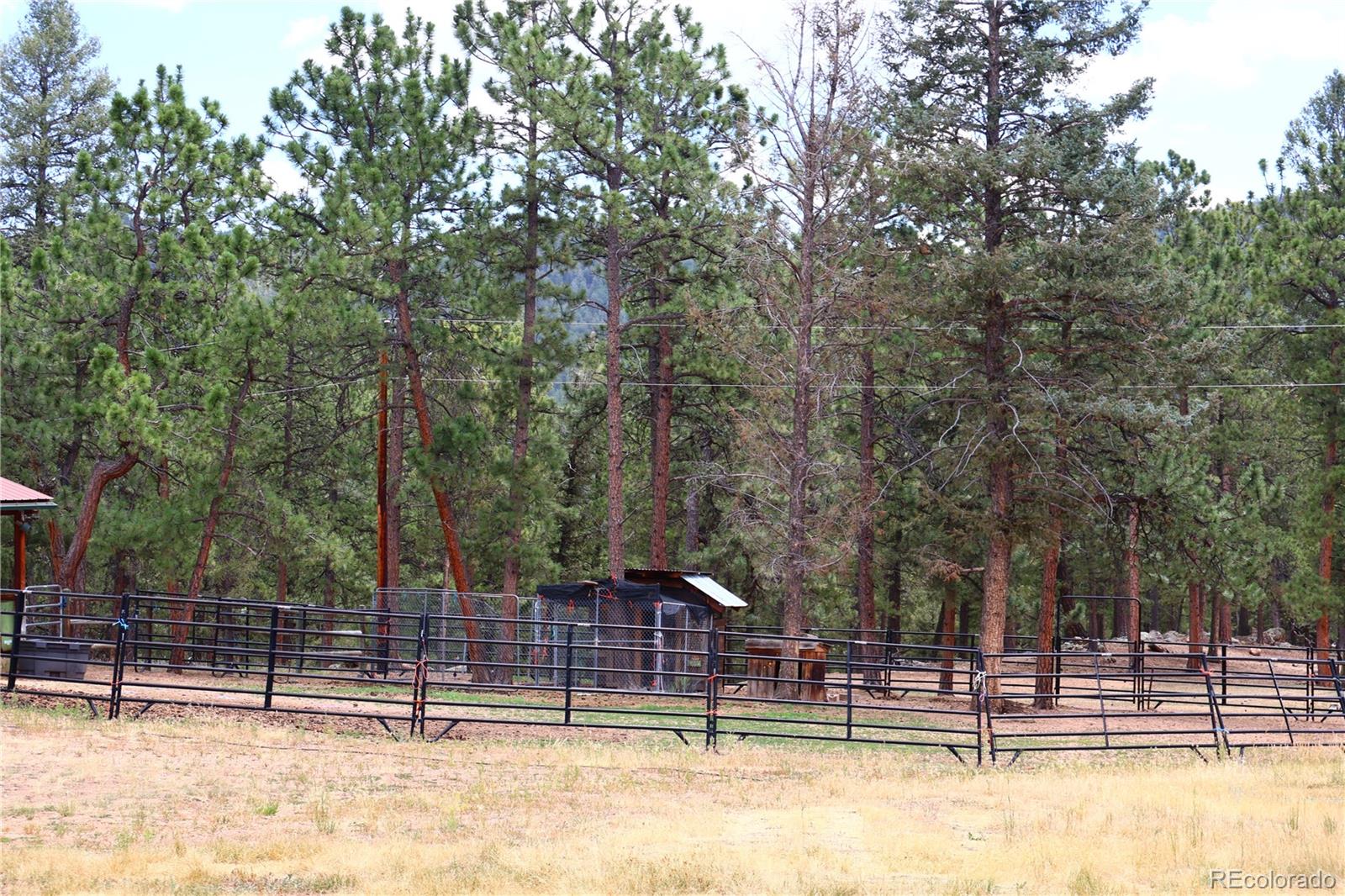 325 Rd D Pine, CO 80470 - Photo 29 of 37 Gallery Image 29