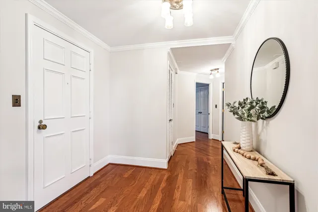 a view of a hallway with wooden floor and a potted plant