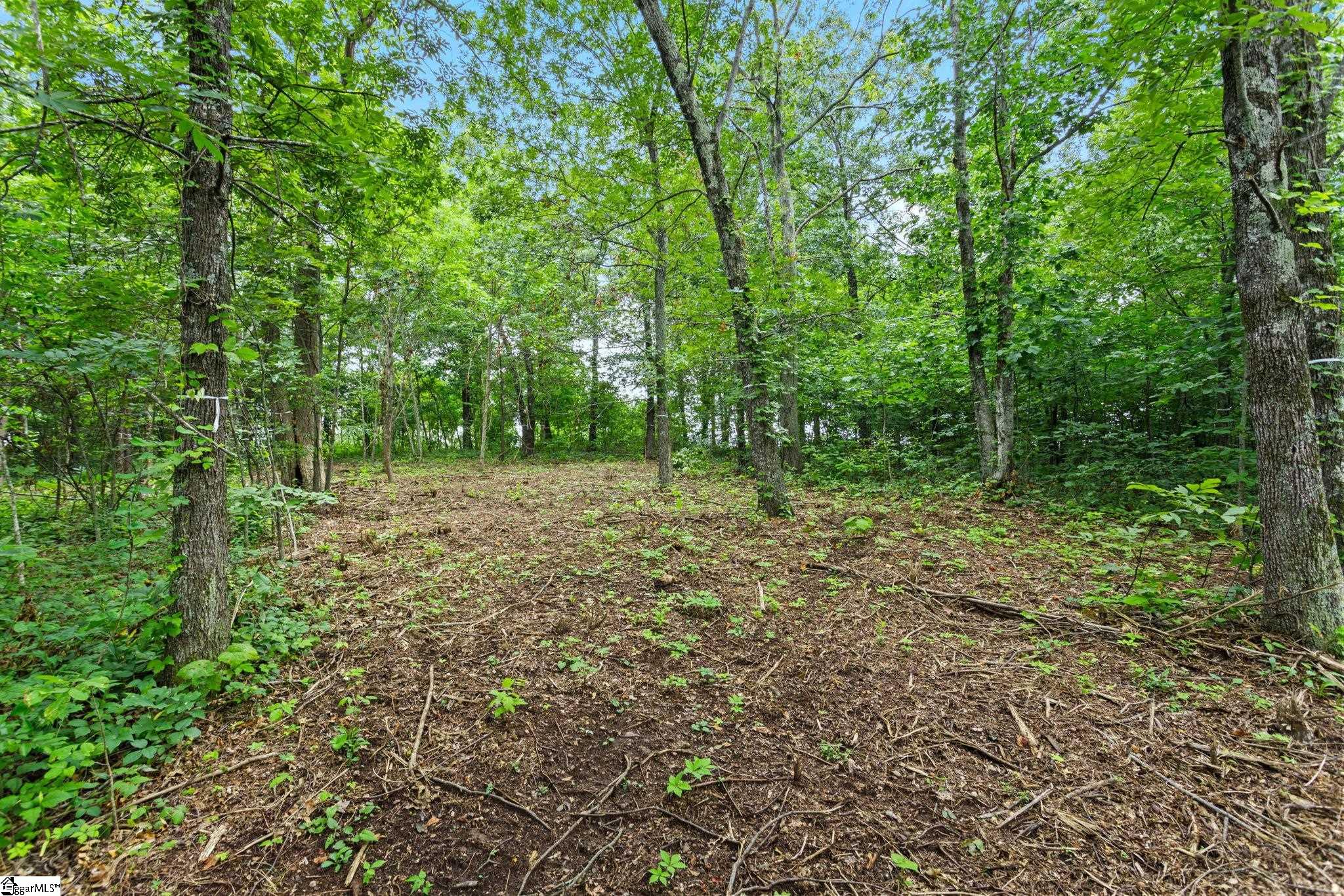 223 May Apple Way Landrum, SC 29356 - Photo 4 of 16