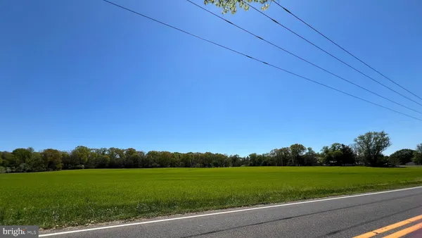 a view of a grassy field with trees