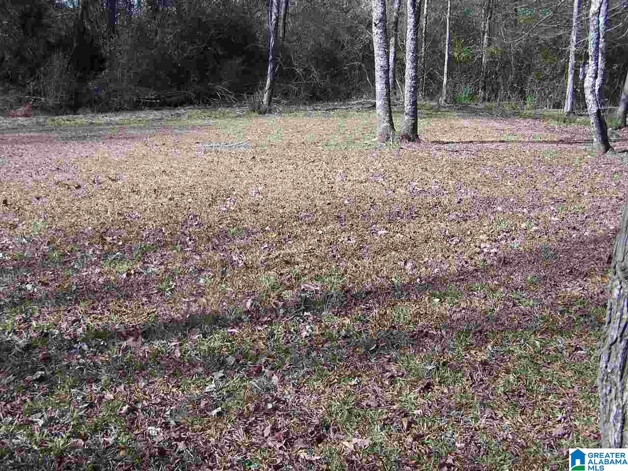4693 Highway 45 Hayden, AL 35079 - Photo 21 of 27