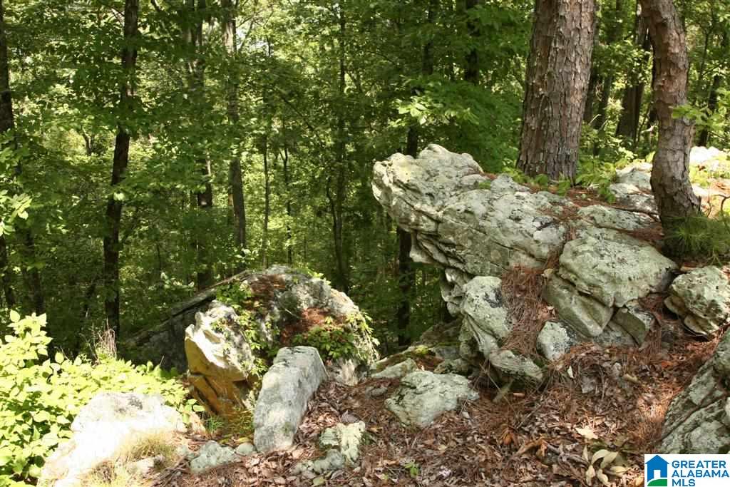 0 Shoal Creek Road, Unit 121 AC Ashville, AL 35953 - Photo 1 of 8