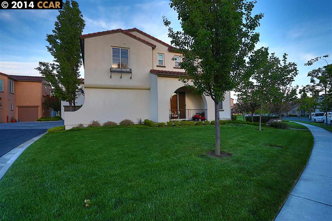 a front view of house with a yard and green space