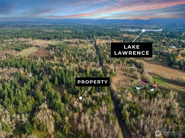 a view of a yard with a tree