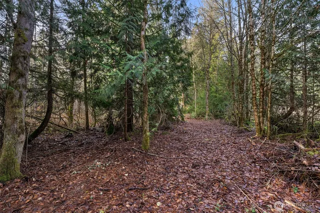 a backyard of a house with lots of green space