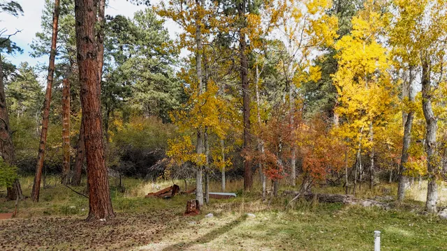 $339,900 | 165 Fish Hatchery Road, Story, WY 82842