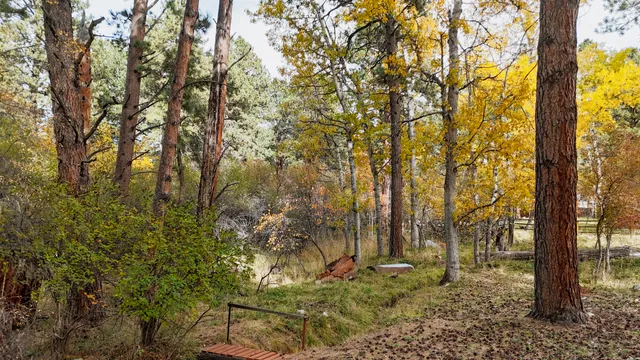 $339,900 | 165 Fish Hatchery Road, Story, WY 82842