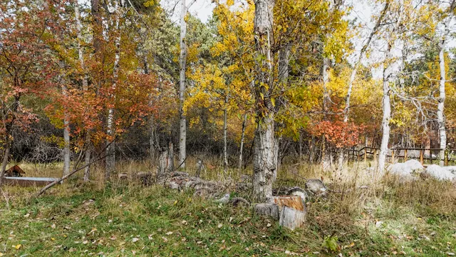 $339,900 | 165 Fish Hatchery Road, Story, WY 82842