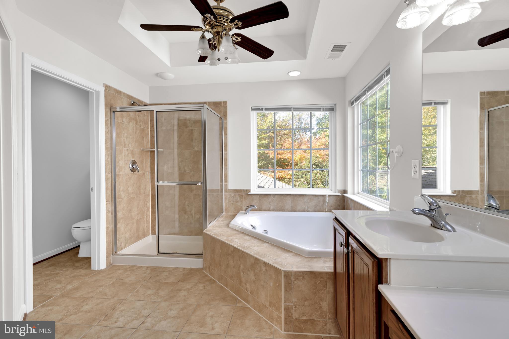 8566 Brickshire Lane Manassas, VA 20112 - Photo 29 of 59 a bathroom with a tub sink and mirror