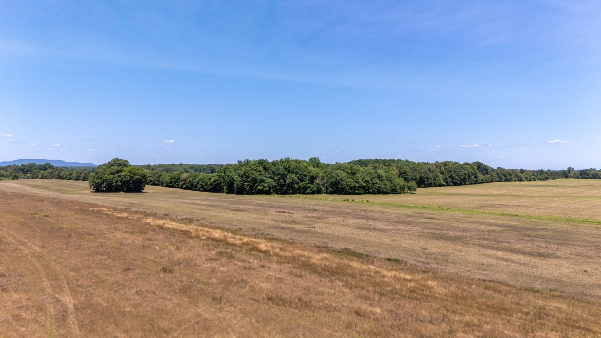 0 Brown Road Woodbury, TN 37190 - Photo 24 of 34