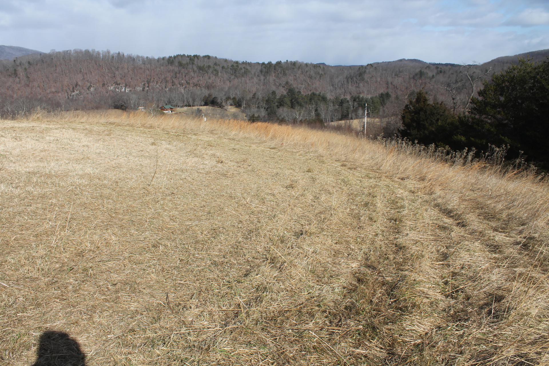 4681 Boyd Road Draper, VA 24324 - Photo 29 of 31 IMG_3348 dated