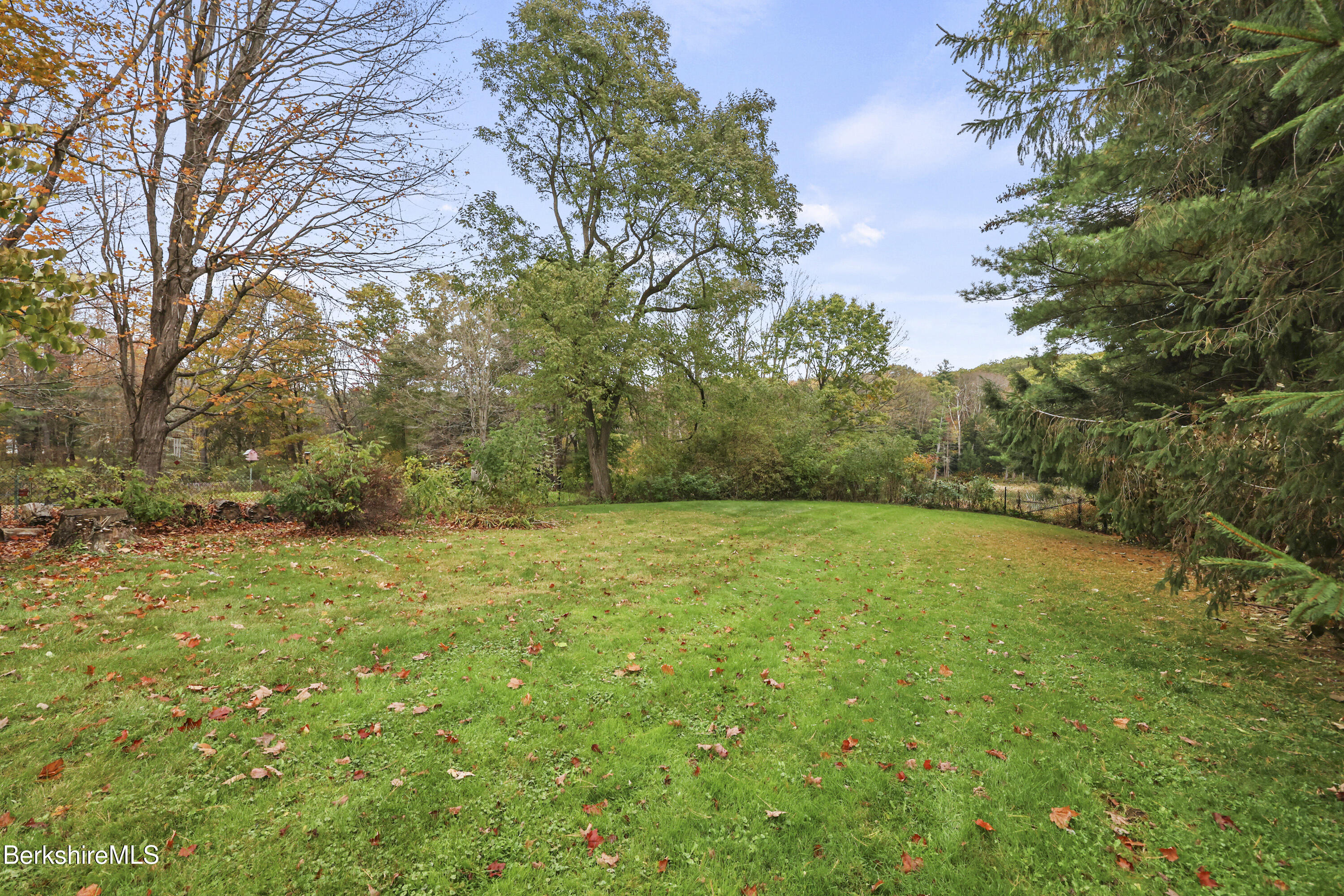2801 State Road Richmond, MA 01254 - Photo 38 of 46 a view of a yard with a tree