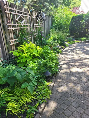 a backyard of a house with lots of green space