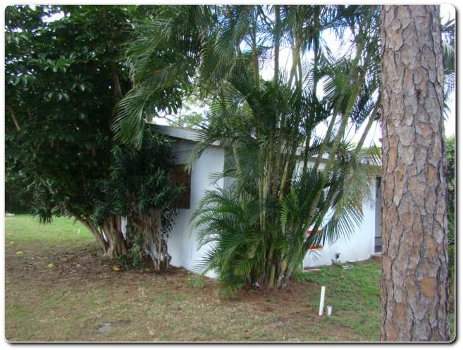 2581 Gulfstream Road Palm Springs, FL 33406 - Photo 24 of 25 SIDE
