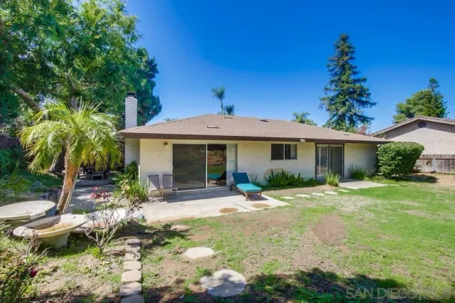 a view of a backyard with palm trees