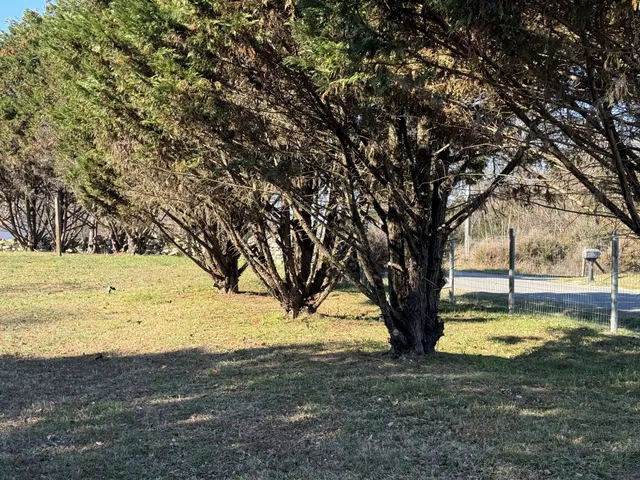 $289,900 | 10795 Back Piney Road, Bon Aqua, TN 37025