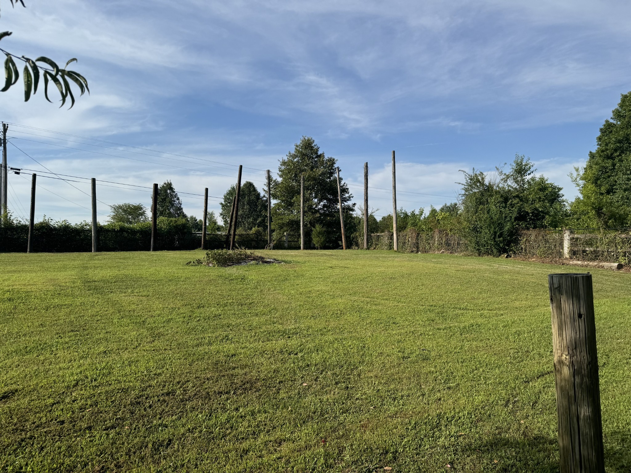 10795 Back Piney Road Bon Aqua, TN 37025 - Photo 60 of 64 a view of a field with a big yard