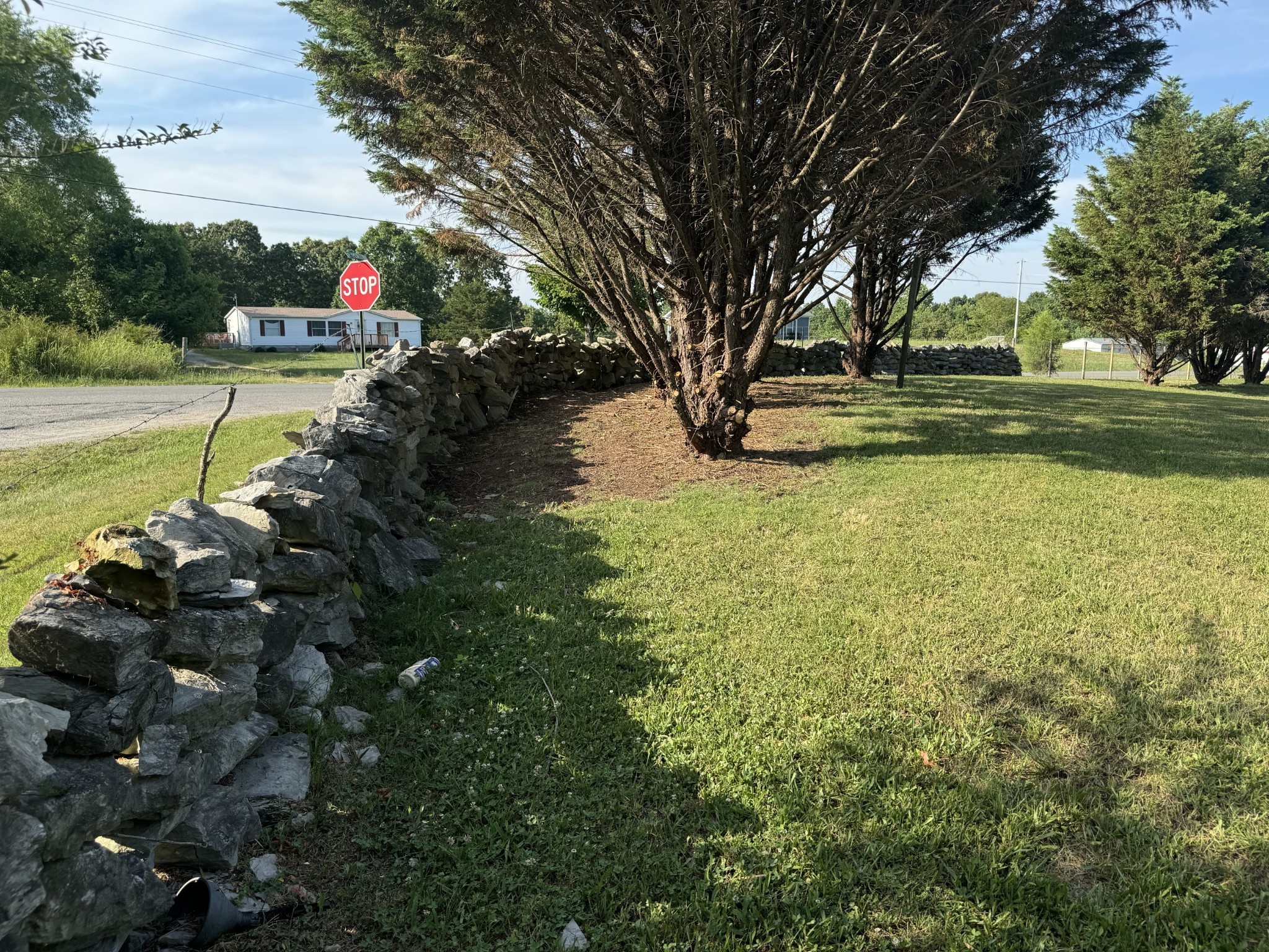 10795 Back Piney Road Bon Aqua, TN 37025 - Photo 61 of 64 a view of a yard with swimming pool
