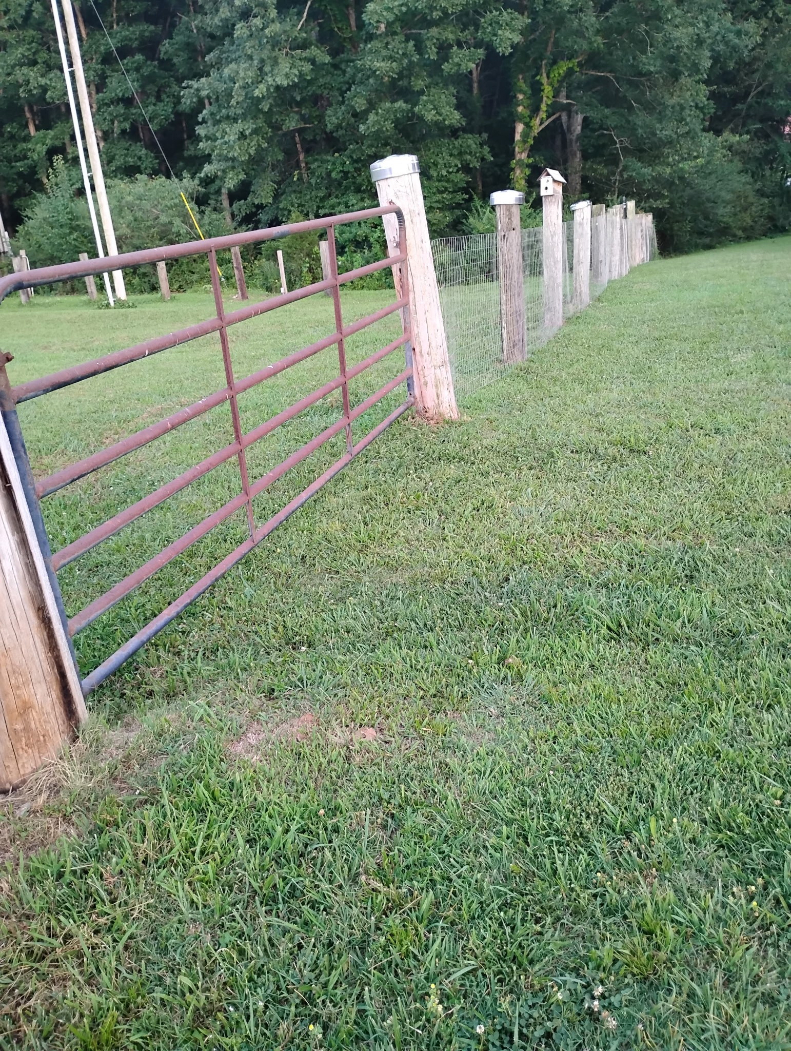 10795 Back Piney Road Bon Aqua, TN 37025 - Photo 62 of 64 a view of a wooden deck with a bench and trees