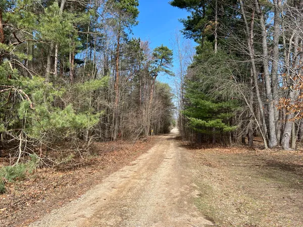 $79,500 | 0 Leapfrog Lane, Unit 3, Fennville, MI 49408