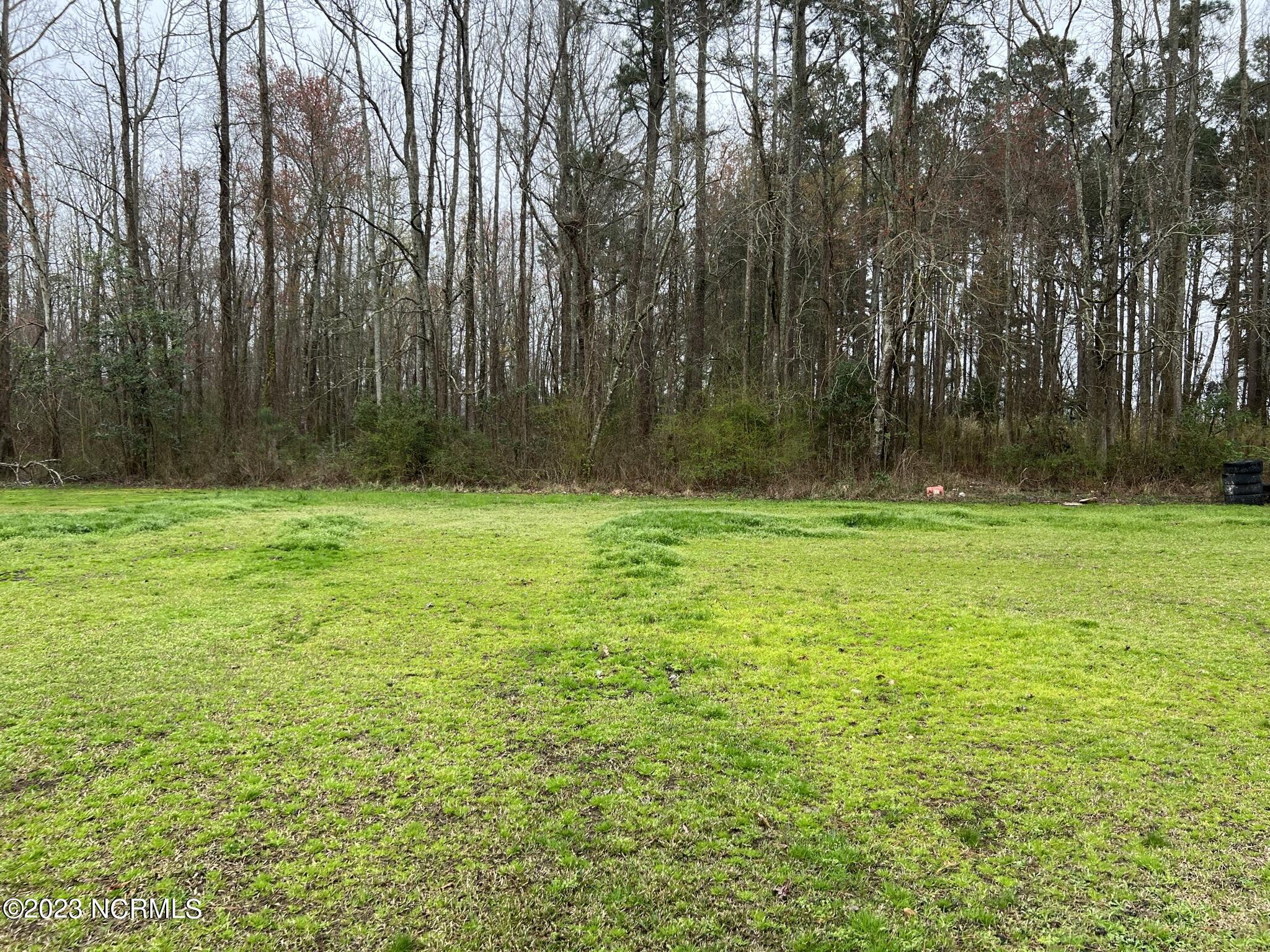 337 Ambrose Road Creswell, NC 27928 - Photo 23 of 28 Backyard