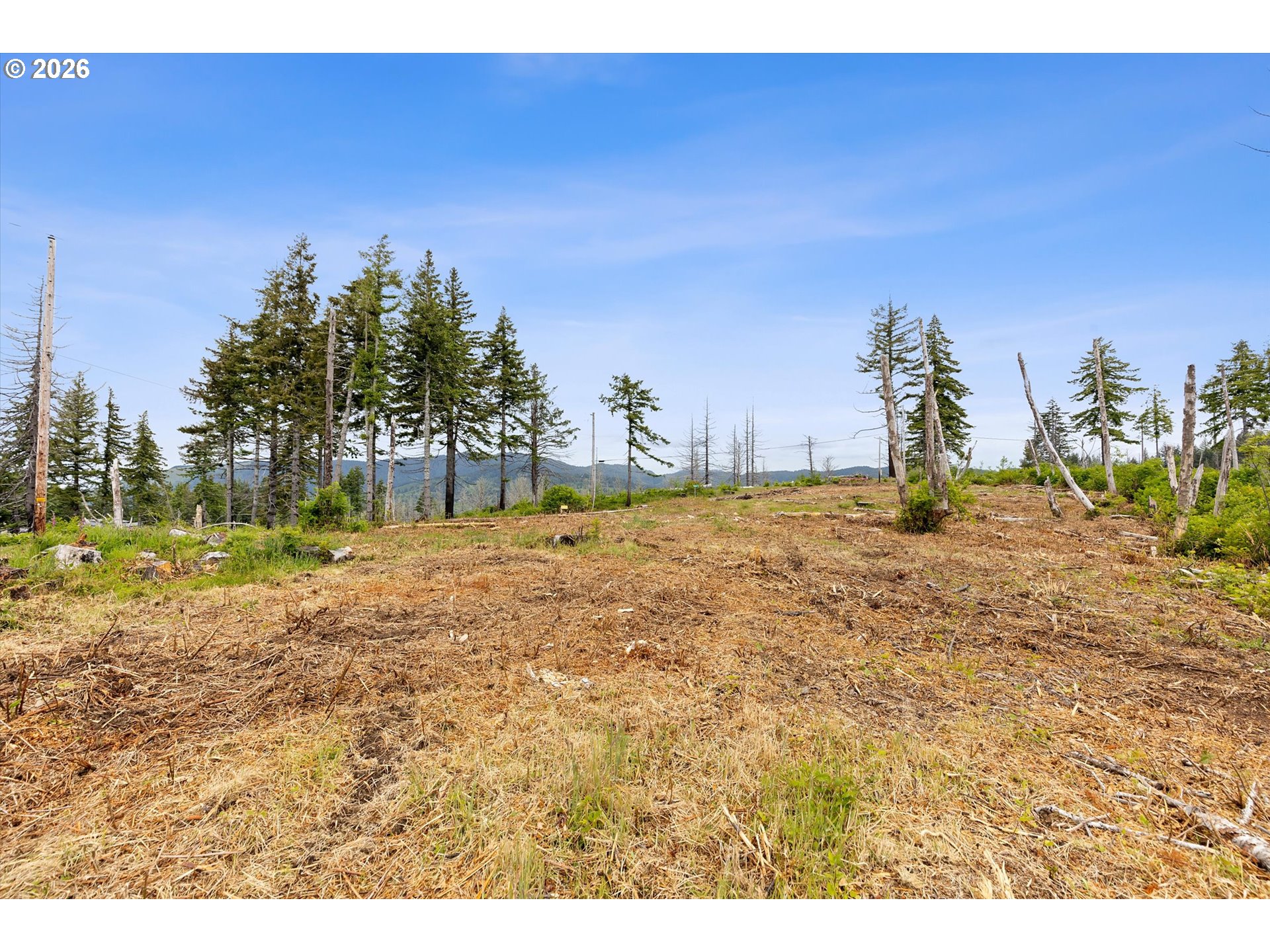 Northeast Viewcrest Street, Unit TL 900 Otis, OR 97368 - Photo 8 of 14