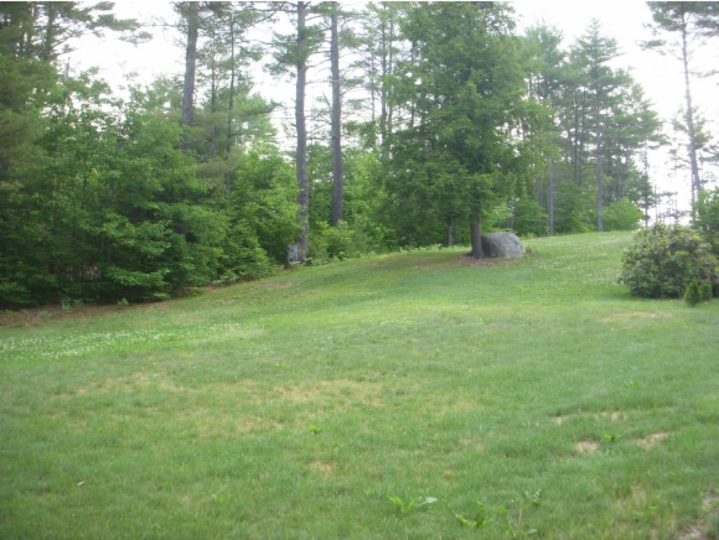 35 Blueberry Hill Road Deering, NH 03244 - Photo 3 of 9 Gallery Image 3