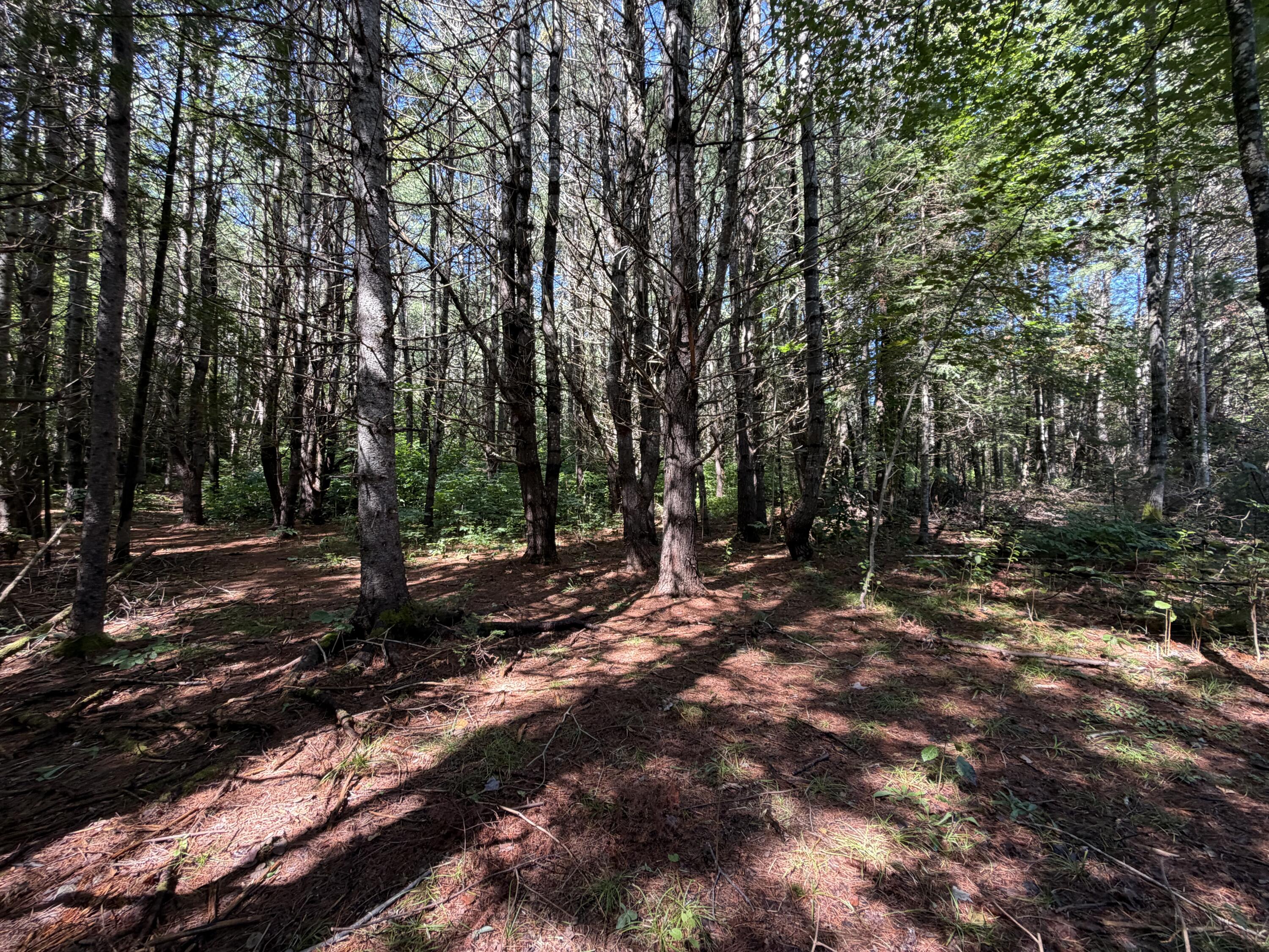 36 South Road Lee, ME 04455 - Photo 22 of 32 IMG_6648