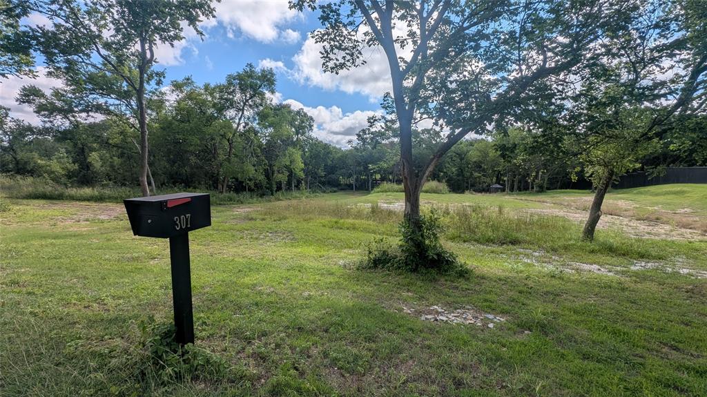 307 Ridgeview Road Sherman, TX 75092 - Photo 4 of 6