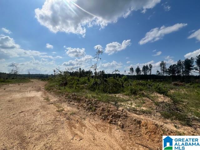 11482 Camp Oliver Road Adger, AL 35006 - Photo 26 of 48