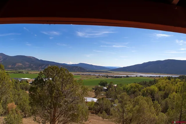 a view of a dry yard with wooden fence