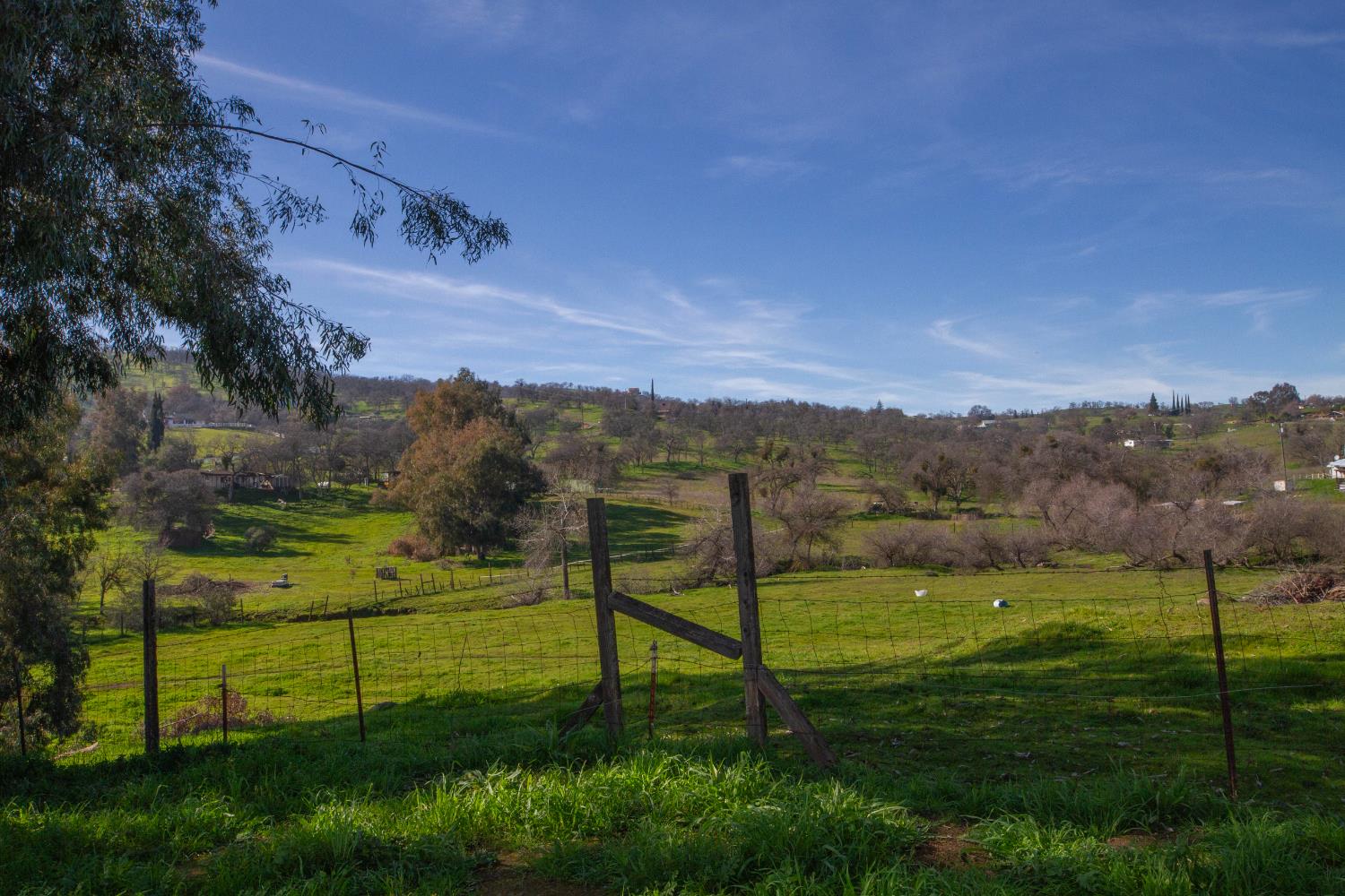 33379 George Smith Road Squaw Valley, CA 93675 - Photo 35 of 66
