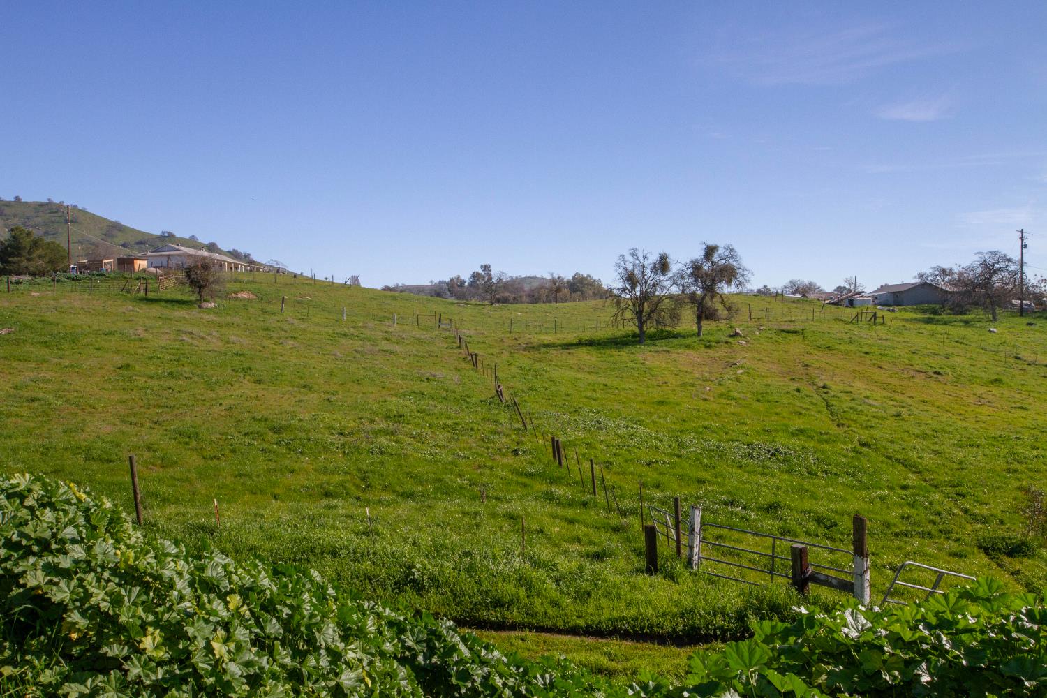 33379 George Smith Road Squaw Valley, CA 93675 - Photo 38 of 66