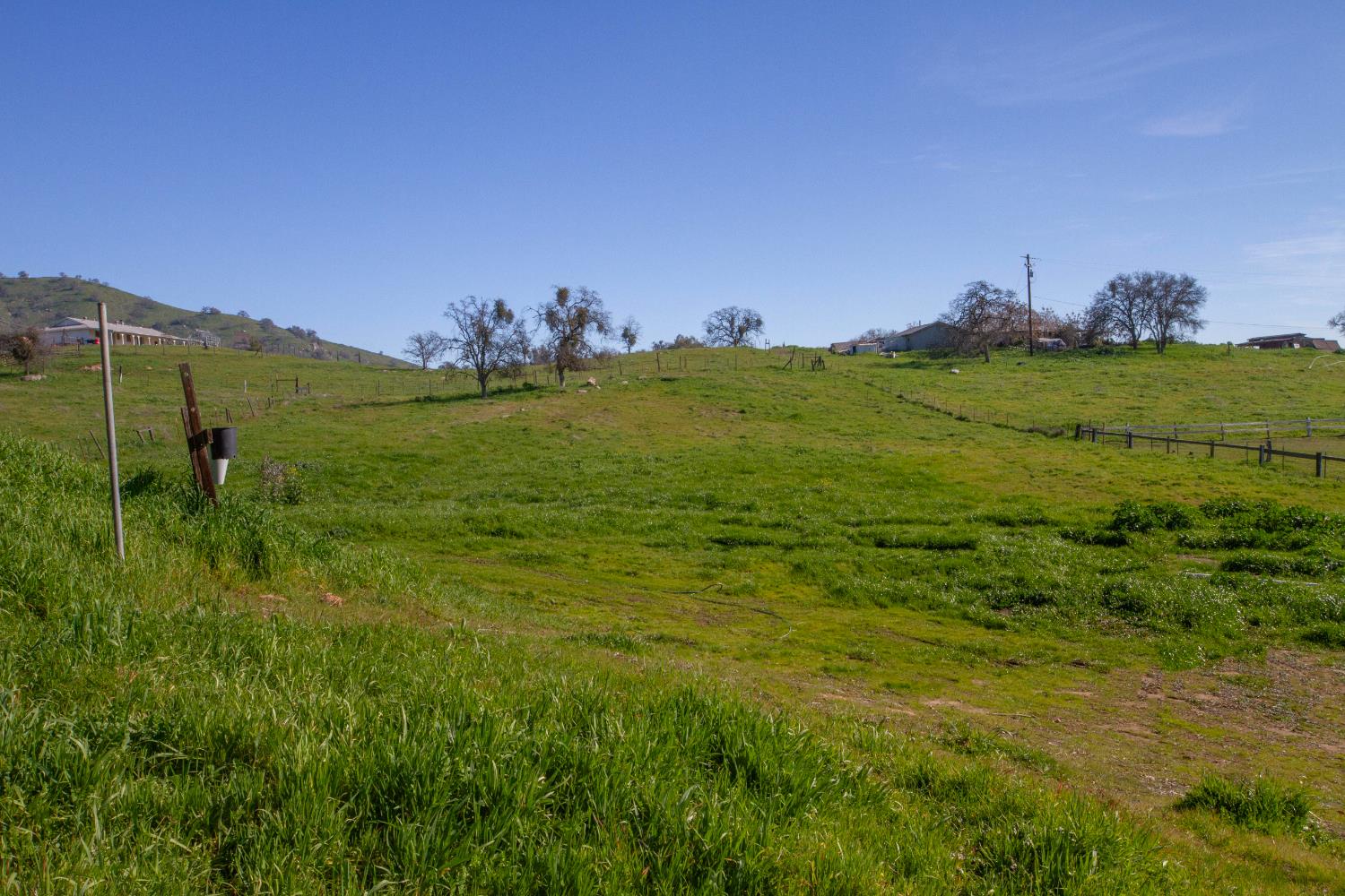 33379 George Smith Road Squaw Valley, CA 93675 - Photo 51 of 66