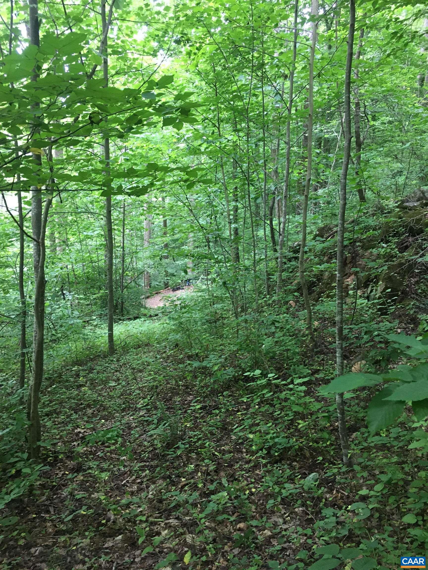 Entry Run Road Stanardsville, VA 22973 - Photo 5 of 6 Gallery Image 5